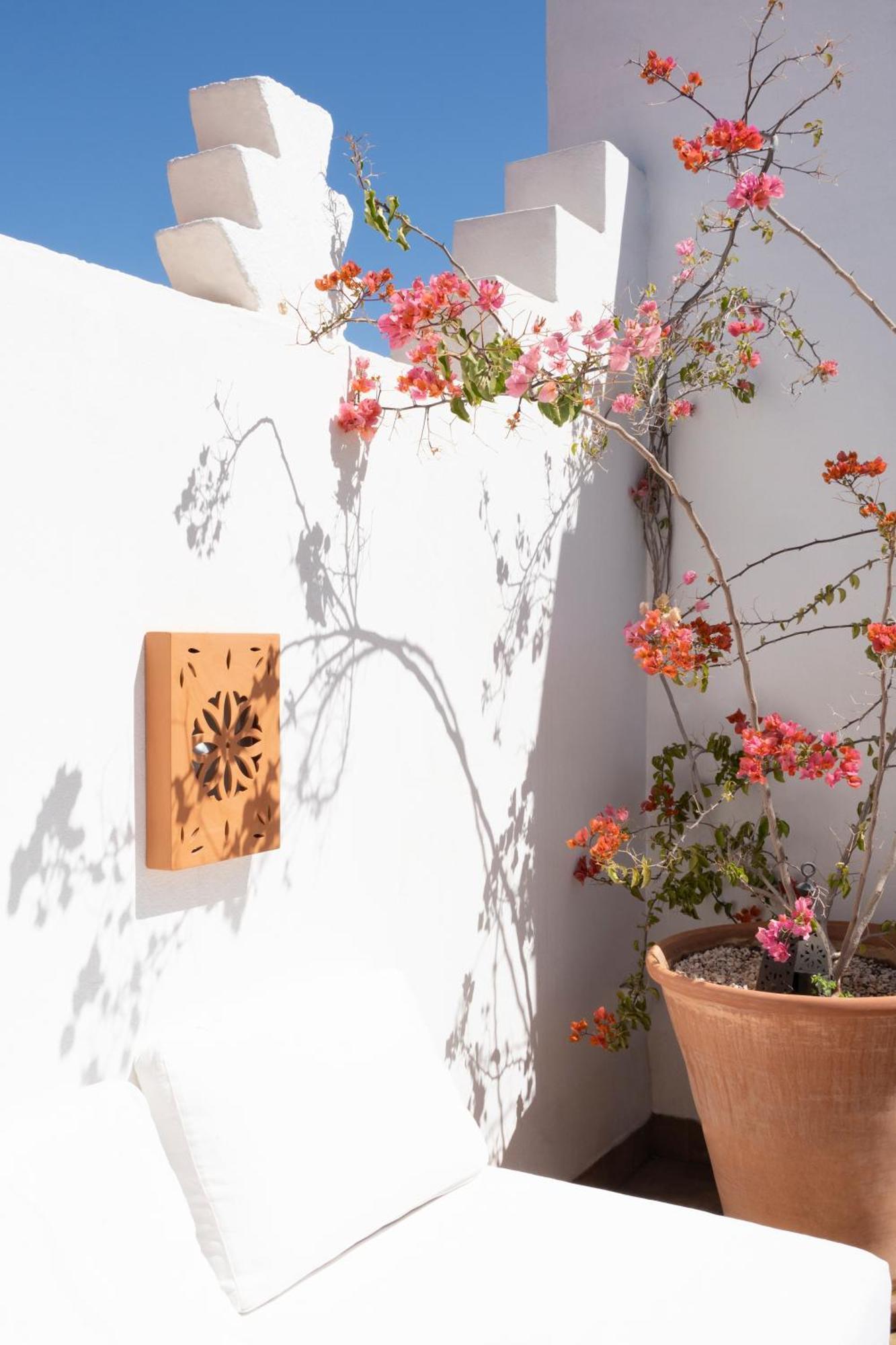 Riad Sashema Marrakesh Eksteriør bilde